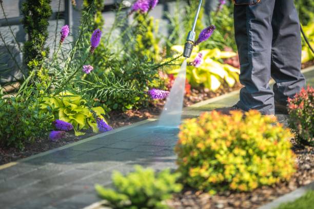 Best Restaurant Pressure Washing  in Advance, MO